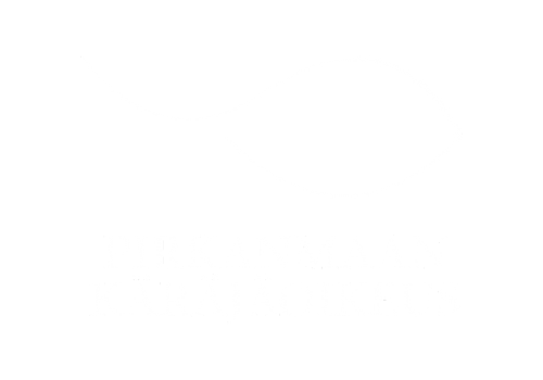 Logo, jossa on kaksi tyyliteltyä valkoista muotoa, jotka muistuttavat abstrakteja lehtiä tai aaltoja, tekstin Pirkanmaan Käräjäoikeus yläpuolella vaaleanharmaalla pohjalla.