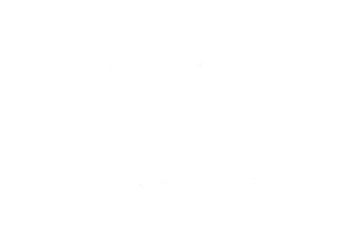 Valkoinen logo, jossa on tähtimäinen kompassin muotoinen ympyrä keskellä, tekstin "Suomen Suunnistusliitto" yläpuolella vaaleanharmaalla pohjalla.