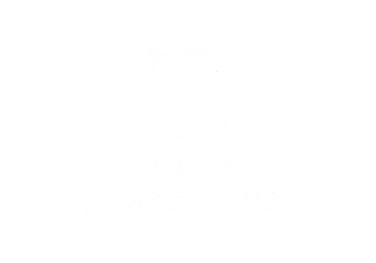 Valkoinen logo, jossa on tähtimäinen kompassin muotoinen ympyrä keskellä, tekstin "Suomen Suunnistusliitto" yläpuolella vaaleanharmaalla pohjalla.